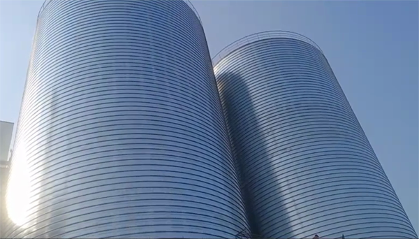 冷水滩2座混凝土高架卷板仓